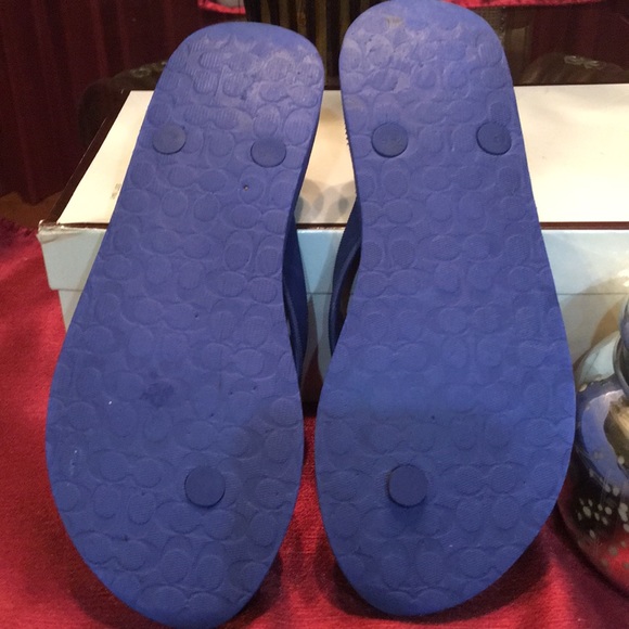 blue coach flip flops